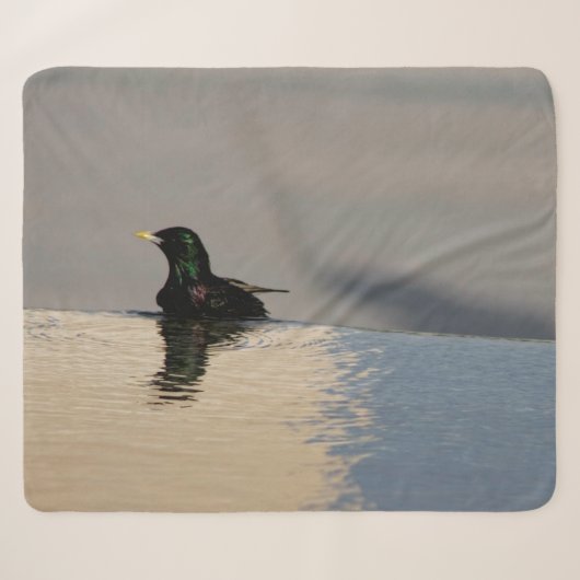 Kleiner Vogel im Wasser Sherpadecke (Vorderseite (Horizontal))