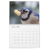 Kleiner Vogel (Singvogel) 2026 Kalender (Jan 2026)