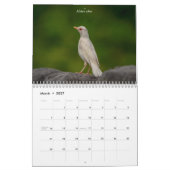 Kleiner Vogel (Singvogel) 2026 Kalender (Mär 2027)