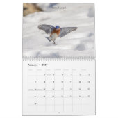 Kleiner Vogel (Singvogel) 2026 Kalender (Feb 2027)