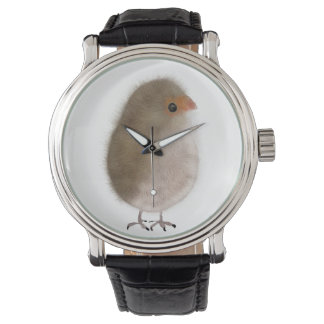 Kleiner Vogel unter der Uhr! Armbanduhr