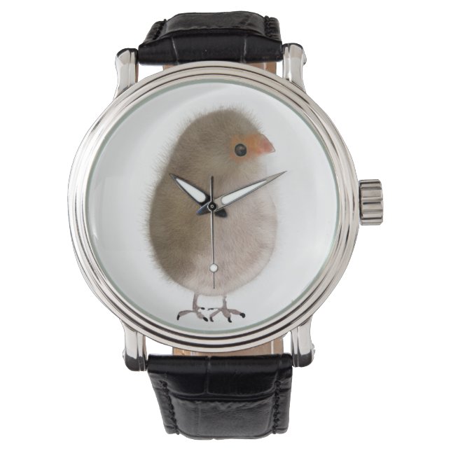 Kleiner Vogel unter der Uhr! Armbanduhr (Vorderseite)