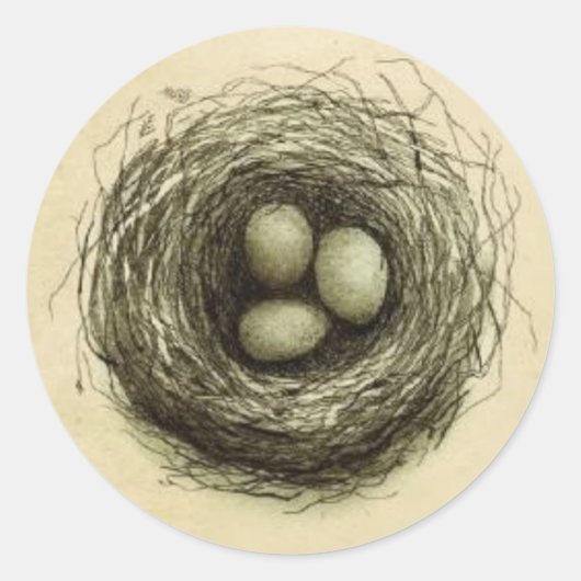 Kleiner Vogelnest Runder Aufkleber (Vorderseite)