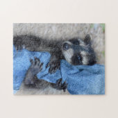 Kleiner Waschbär Puzzle (Horizontal)