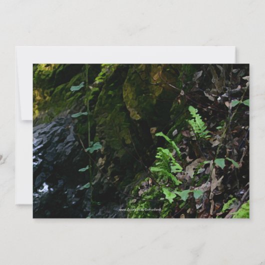 Kleiner Wasserfall Hochzeit individuelle Einladung (Rückseite)