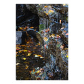 Kleiner Wasserfall über Felsen Fotodruck (Vorne)