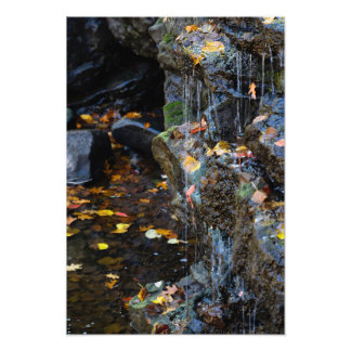 Kleiner Wasserfall über Felsen Fotodruck