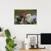 Kleiner weißer Buttrerfly auf Spear Thistle Poster (Heimbüro)