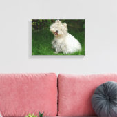 Kleiner weißer Hund auf Leinwand (Insitu (Wohnzimmer))