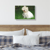 Kleiner weißer Hund auf Leinwand (Insitu (Schlafzimmer))