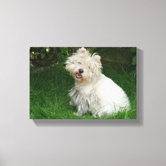 Kleiner weißer Hund auf Leinwand (Vorderseite)
