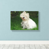 Kleiner weißer Hund auf Leinwand (Insitu (Holzboden))