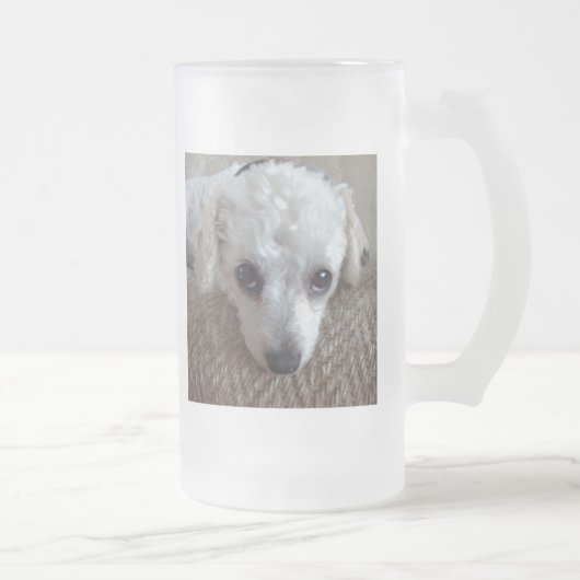 Kleiner weißer Teacup Poodle Hund Mattglas Bierglas (Rechts)