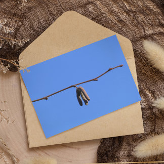 Kleiner Zweig an blauem Himmel Postkarte
