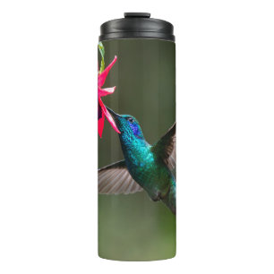 Kleinere Veilchenohrkolibri im Wolkenwald Thermosbecher