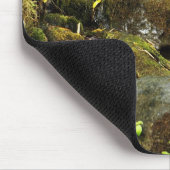 Kleinerer Strom 2 Akaka Falles Hinter Mousepad (Ecke)