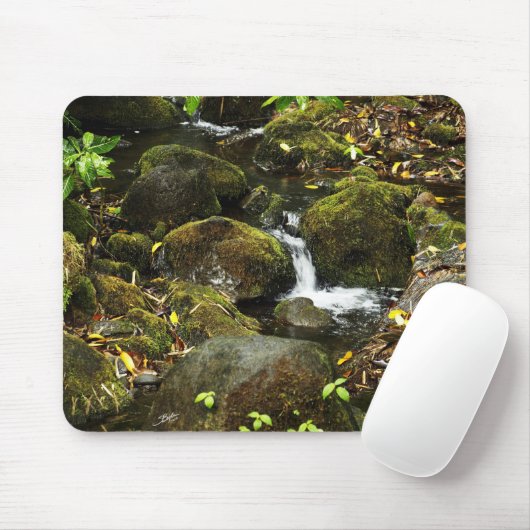 Kleinerer Strom 2 Akaka Falles Hinter Mousepad (Mit Mouse)