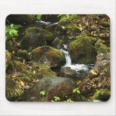 Kleinerer Strom 2 Akaka Falles Hinter Mousepad (Vorne)