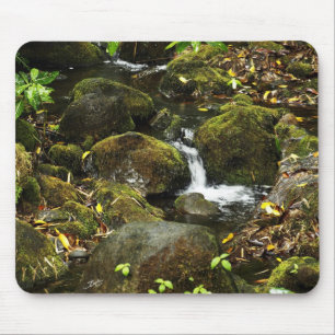 Kleinerer Strom 2 Akaka Falles Hinter Mousepad