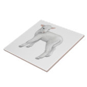 Kleines Baby-Lamm-kundengerechte Fliese (Seite)