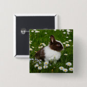 Kleines Braun- und Weißgebälk in Blume Button (Vorne & Hinten)