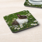 Kleines Braun- und Weißgebälk in Blume Getränkeuntersetzer (Linke Seite)