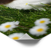 Kleines Braun- und Weißgebälk in Blume Poster (Ecke)