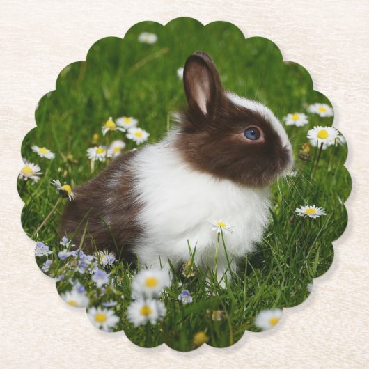 Kleines Braun- und Weißgebälk in Blume Untersetzer (Vorderseite)