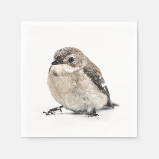 Kleines braunes Gartenvogel-Foto Serviette (Vorderseite)