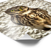 Kleines Brown Barn Owl Kunstportrait Fotodruck (Ecke)