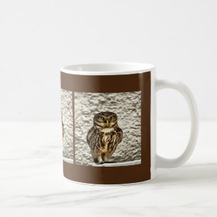 Kleines Brown Barn Owl Kunstportrait Kaffeetasse