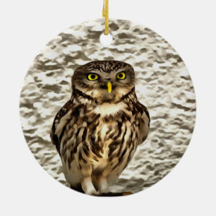 Kleines Brown Barn Owl Kunstportrait Keramikornament