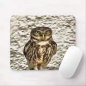 Kleines Brown Barn Owl Kunstportrait Mousepad (Mit Mouse)