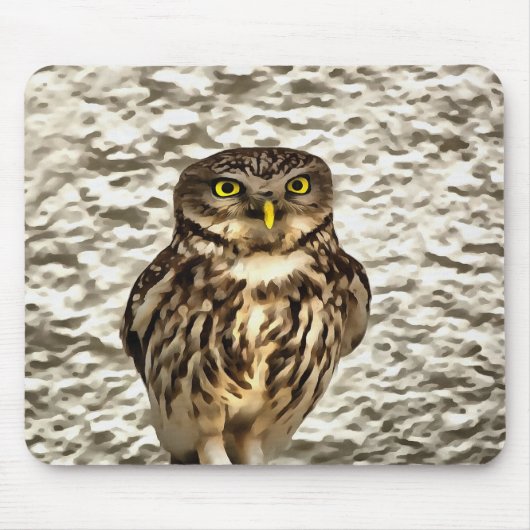 Kleines Brown Barn Owl Kunstportrait Mousepad (Vorne)