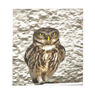 Kleines Brown Barn Owl Kunstportrait Notizblock