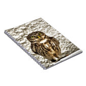 Kleines Brown Barn Owl Kunstportrait Notizblock (Rechte Seite)