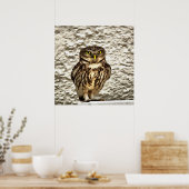 Kleines Brown Barn Owl Kunstportrait Poster (Küche)