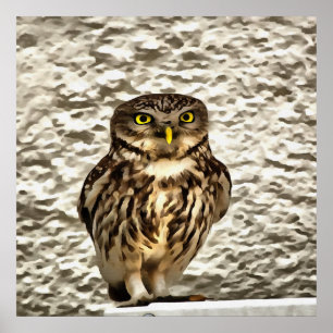 Kleines Brown Barn Owl Kunstportrait Poster