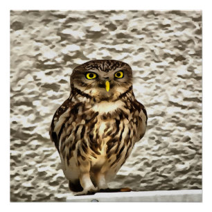 Kleines Brown Barn Owl Kunstportrait Poster