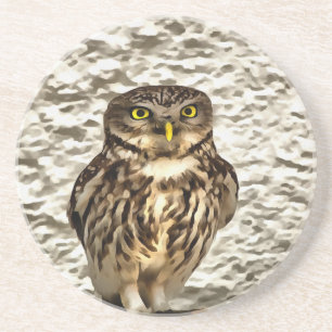 Kleines Brown Barn Owl Kunstportrait Sandstein Untersetzer