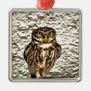 Kleines Brown Barn Owl Kunstportrait Silbernes Ornament