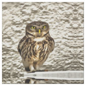 Kleines Brown Barn Owl Kunstportrait Stoff (Nahaufnahme)