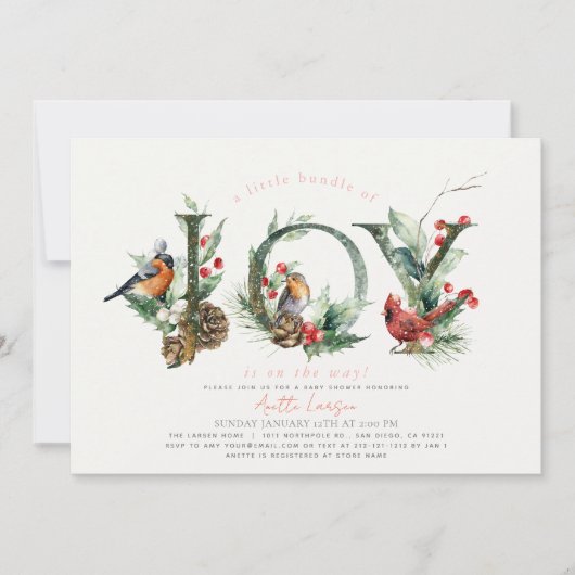 Kleines Bündel von Joy Birds Pink Girl Baby Dusche Einladung (Vorderseite)