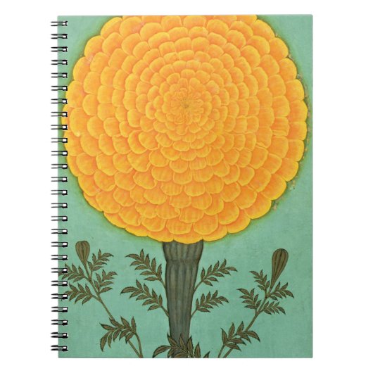 Kleines Clive Album | A Marigold Notizblock (Vorderseite)