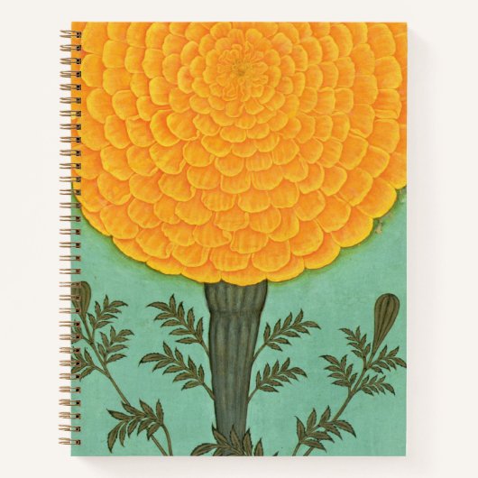 Kleines Clive Album | A Marigold Notizblock (Vorderseite)