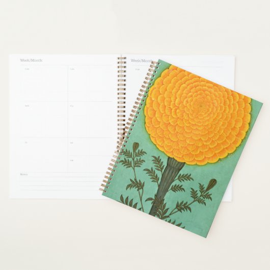 Kleines Clive Album | A Marigold Planer (Anzeige)
