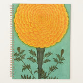 Kleines Clive Album | A Marigold Planer (Vorderseite)