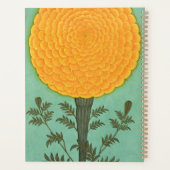Kleines Clive Album | A Marigold Planer (Rückseite)