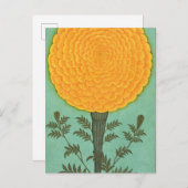 Kleines Clive Album | A Marigold Postkarte (Vorne/Hinten)