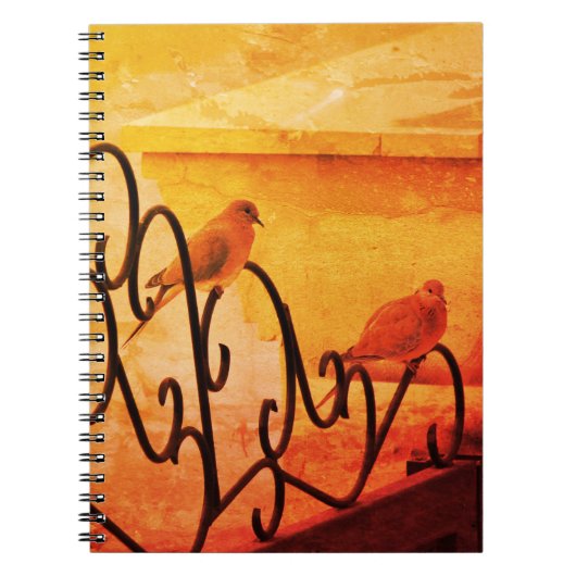 Kleines Doves-Notebook Notizblock (Vorderseite)